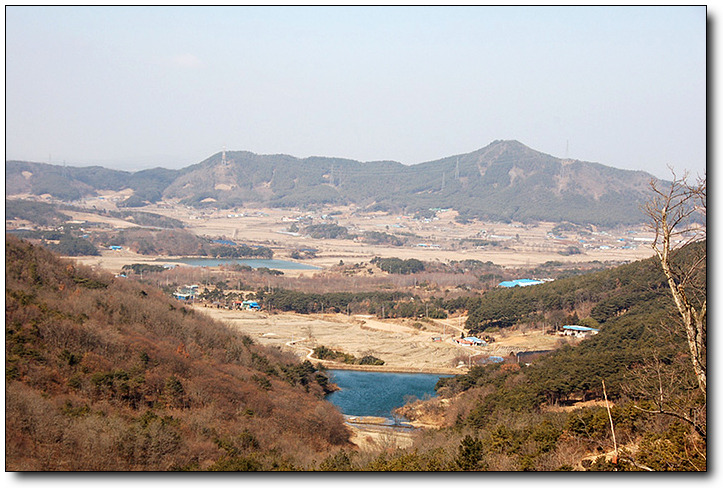 돼지발 이미지