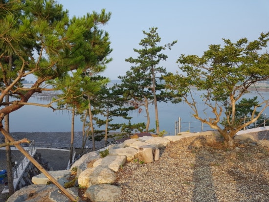 솔섬오토캠핑장 이미지