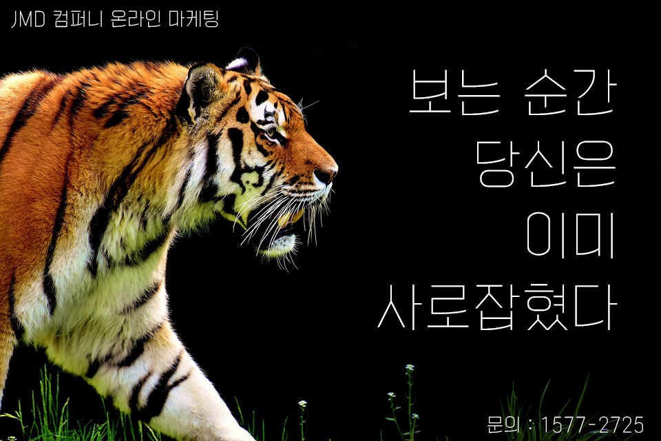 JMD 이미지