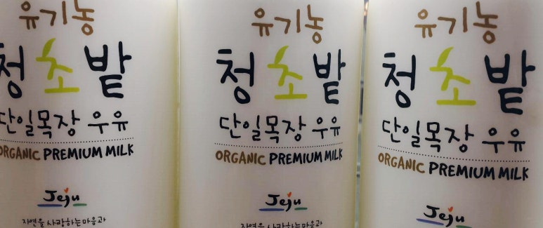 풀먹은우유 이미지