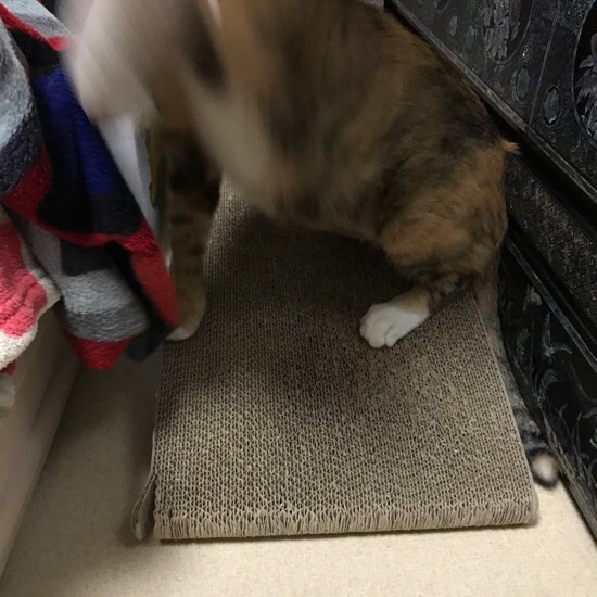 한가묘 이미지