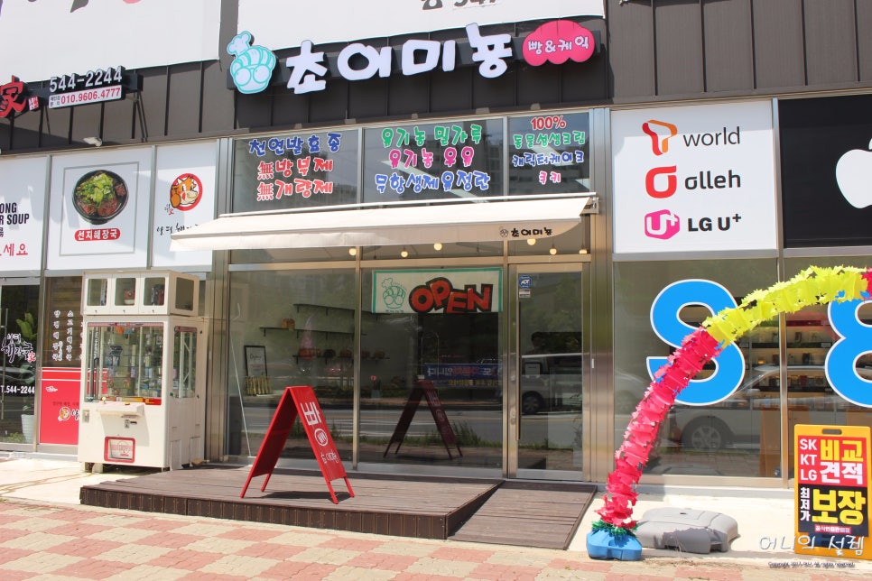 초이미뇽 이미지