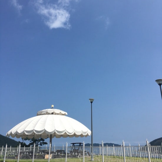 다래투 이미지