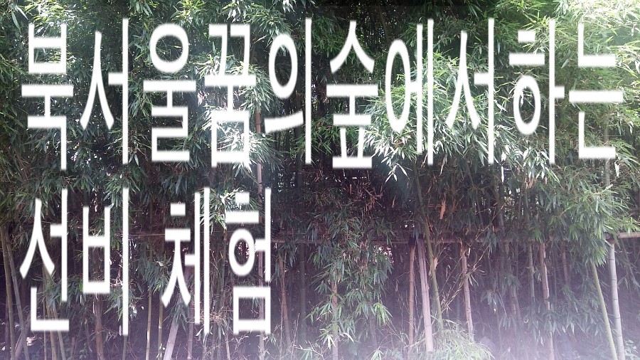 선비다식 이미지