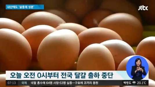 금란마트 이미지