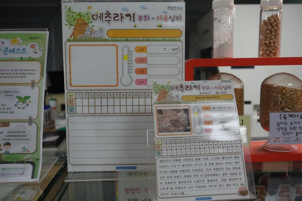 누리가설 이미지