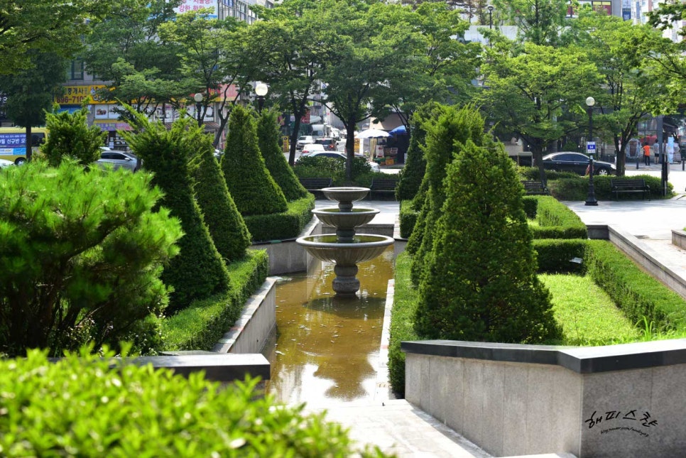 던킨도너츠 죽전보정점 이미지