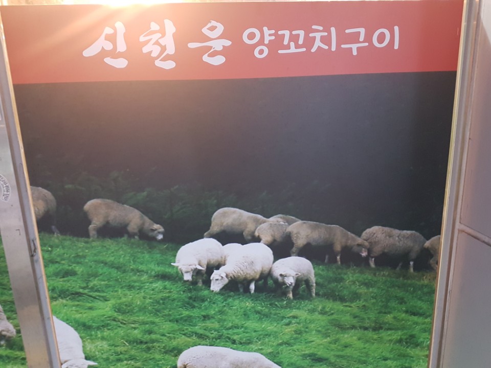 신천운양꼬치 이미지