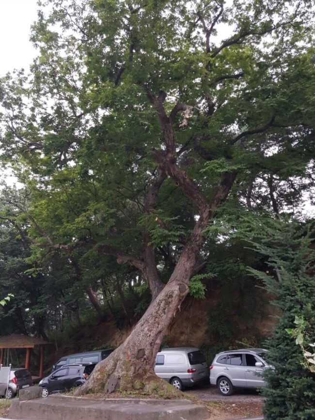 가산조경 이미지