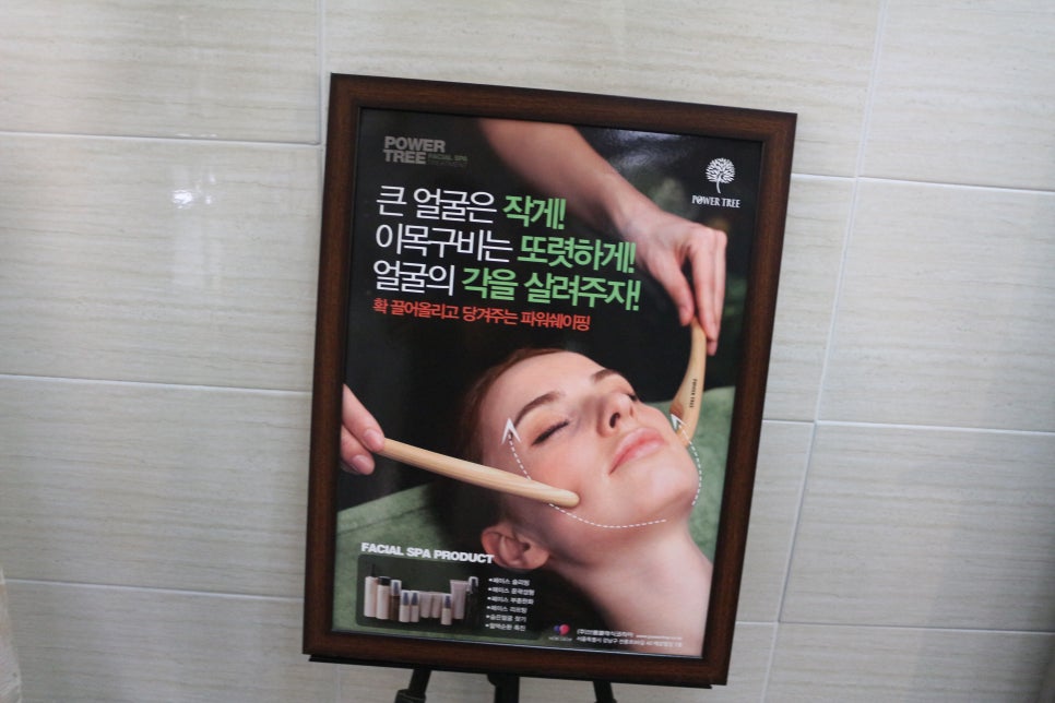 트리뉴얼 이미지