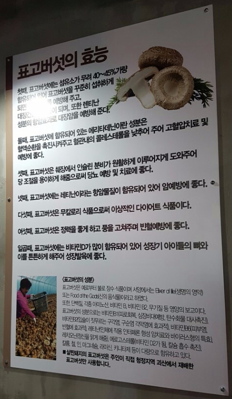 살찐돼지통큰돼지네 이미지