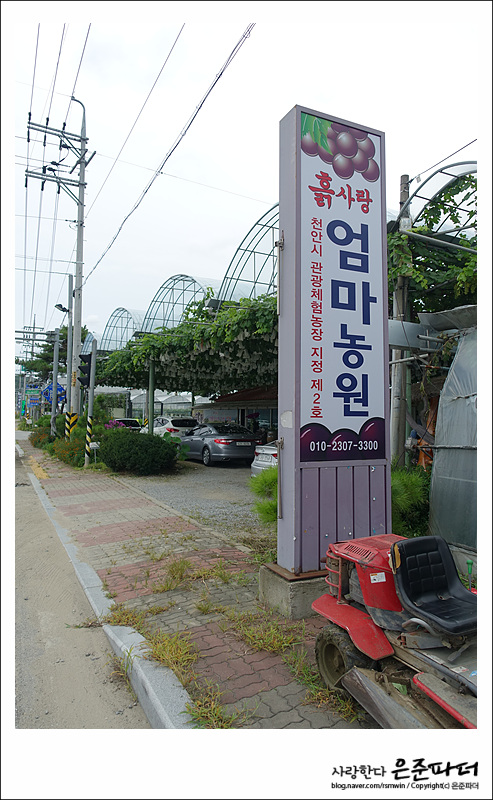 엄마사랑농원 이미지