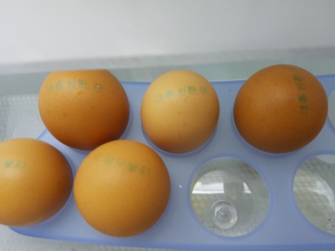영농조합법인 대흥 이미지