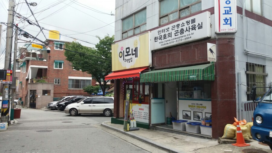 이모네주먹밥 이미지