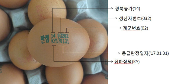 의성계란 이미지