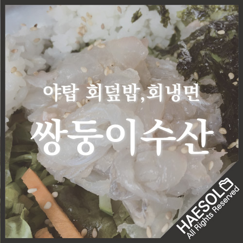 쌍둥이수산 이미지