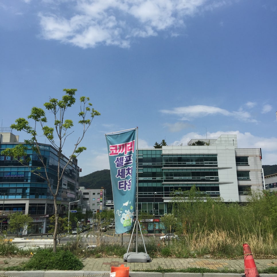 코끼리세차장 이미지