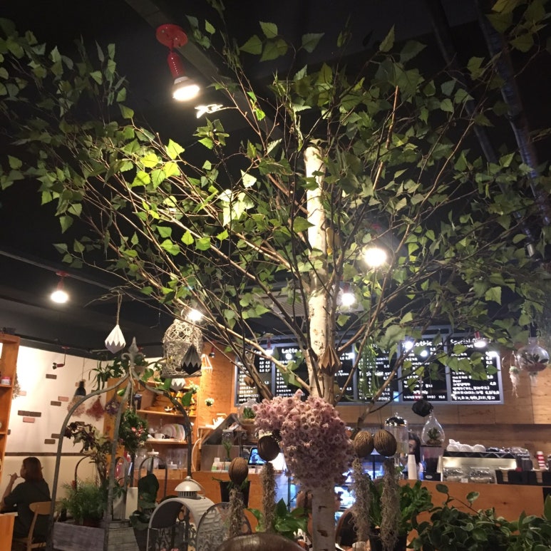 더카페886 이미지