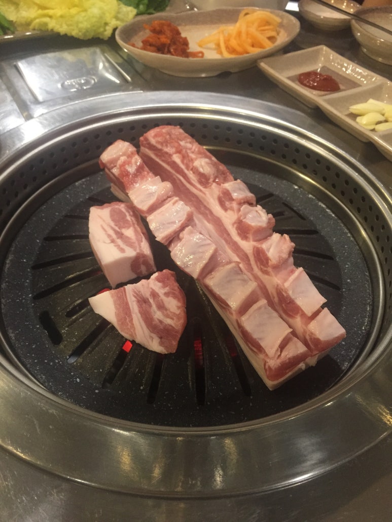 날으는꽃돼지 이미지