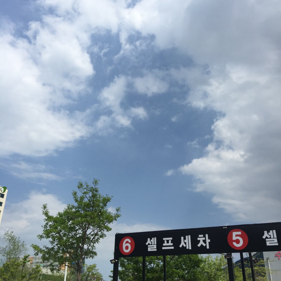 코끼리세차장 이미지