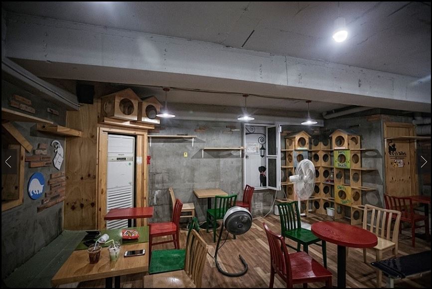 고양이다락방 이미지