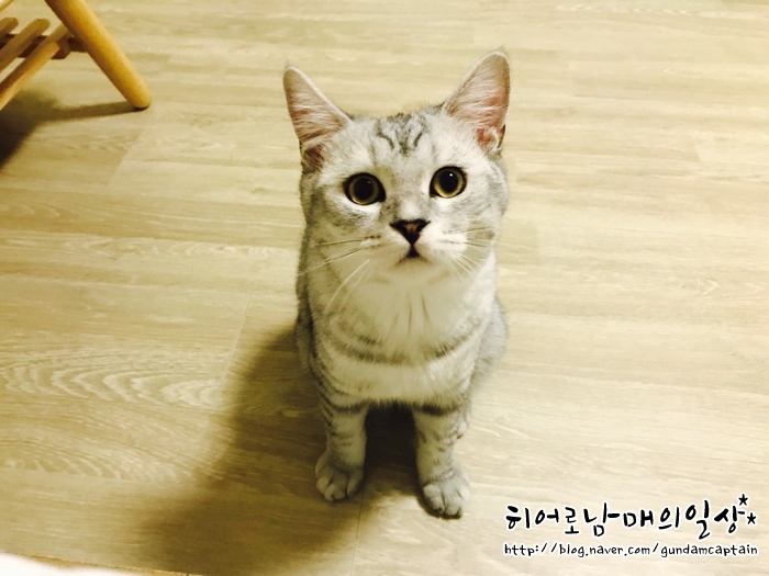 나랑놀자! 이미지