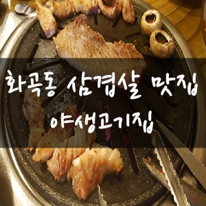 야생고기집 이미지
