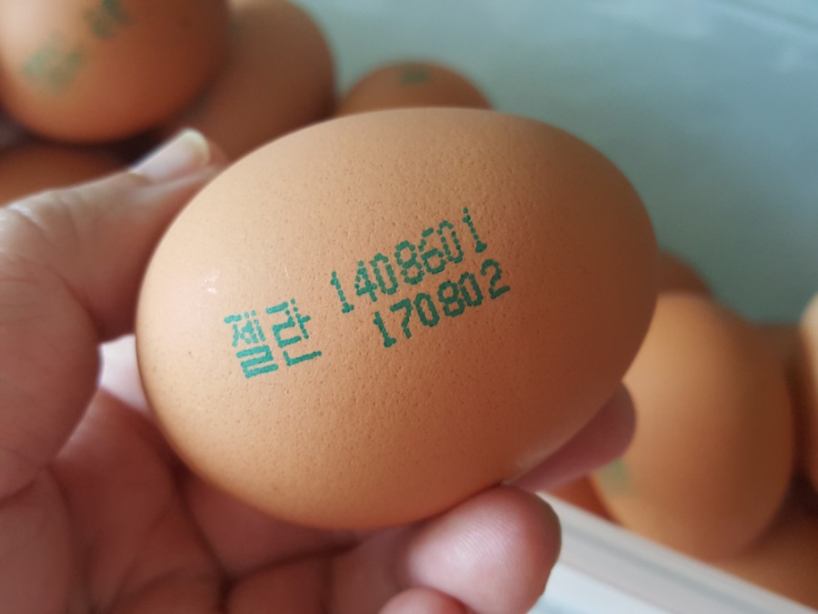 오경(젤란) 이미지