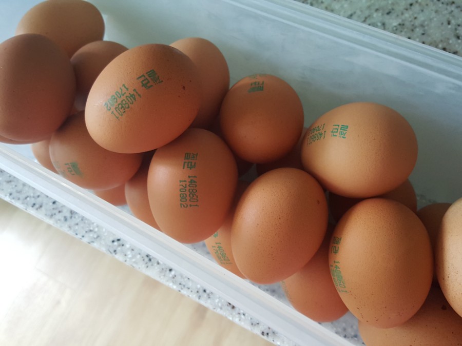 오경(젤란) 이미지