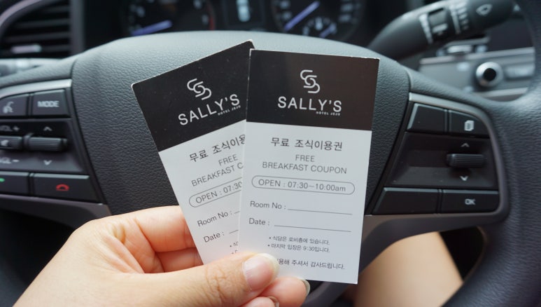 샐리스 이미지