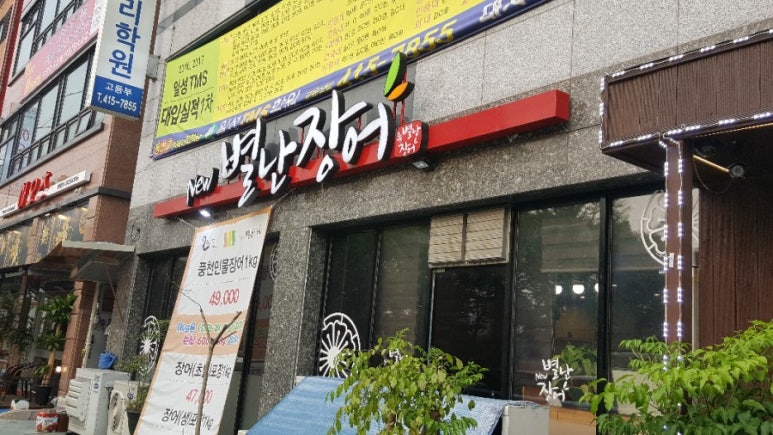 별난장어 이미지