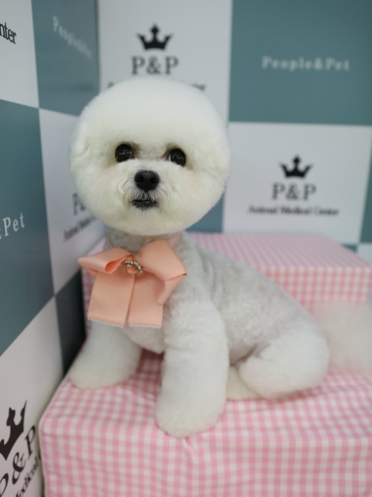 피엔피PC 이미지