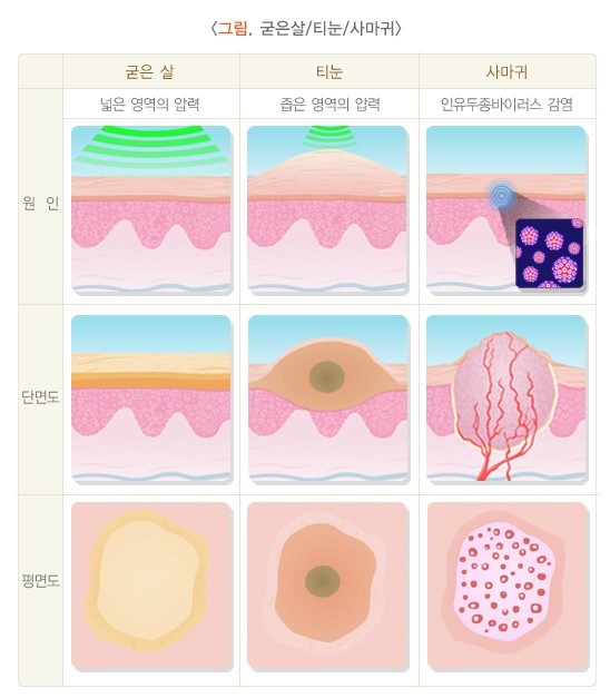 바라봄피부과 이미지