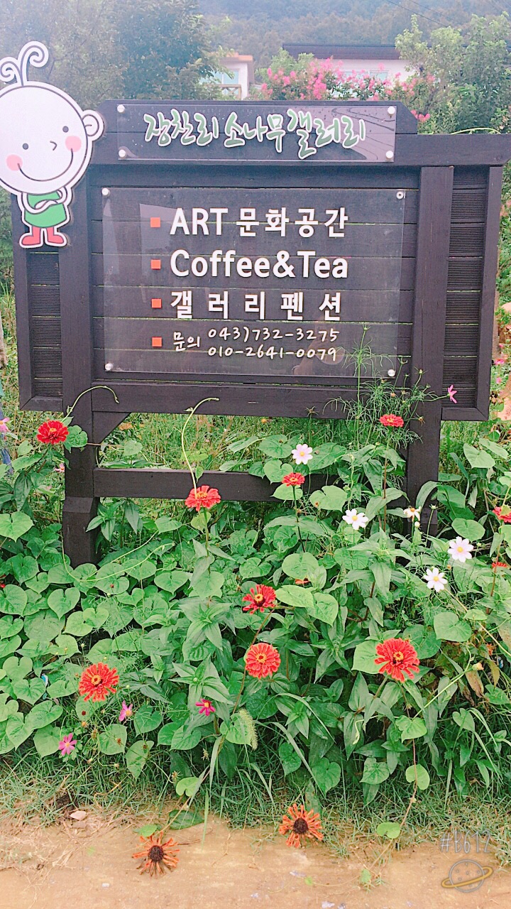 장찬리소나무갤러리 이미지