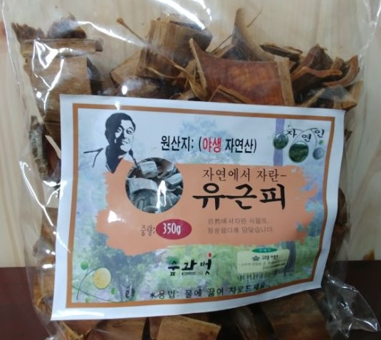 숲과벗 이미지