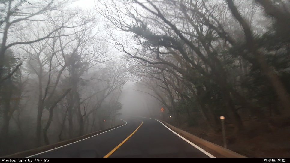 깜박이회집 이미지
