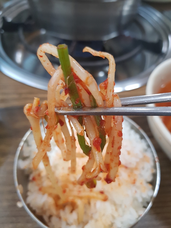광장복어 이미지
