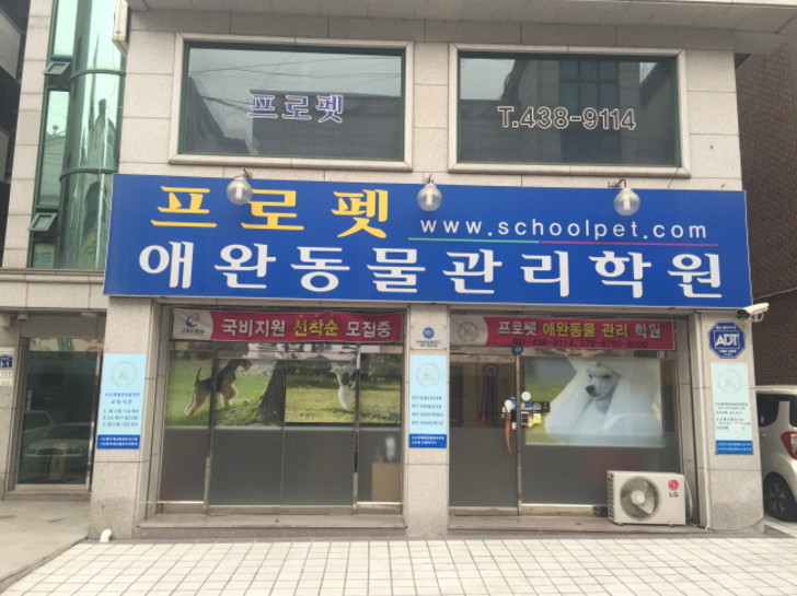 프로펫애견미용학원 이미지