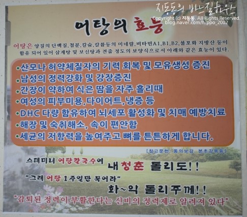 엄딸어탕칼국수 이미지