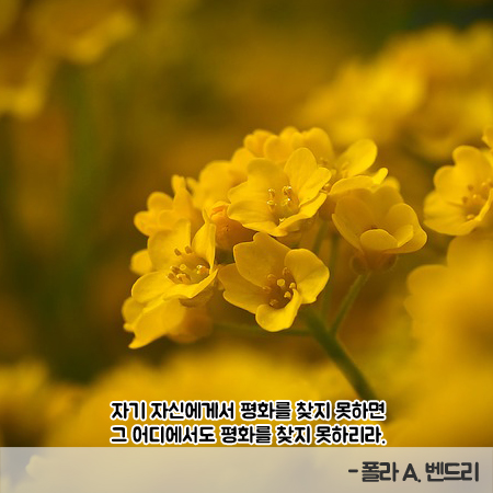 벤드리 이미지