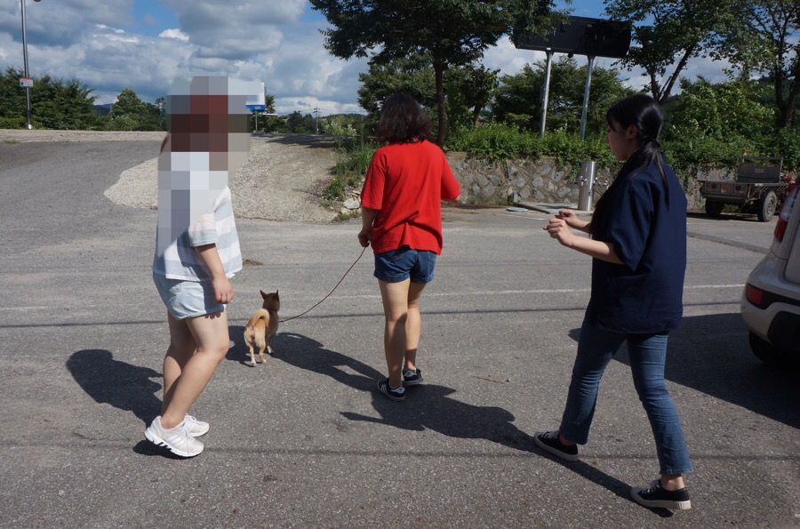 해피독반려견방문교육 이미지