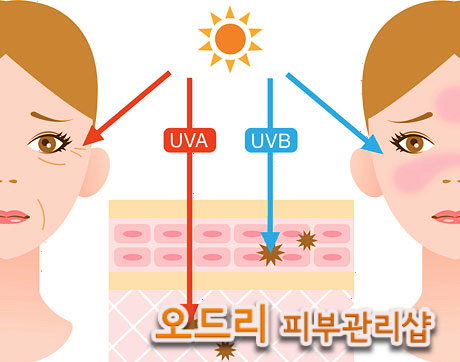 오드리피부관리샵 이미지