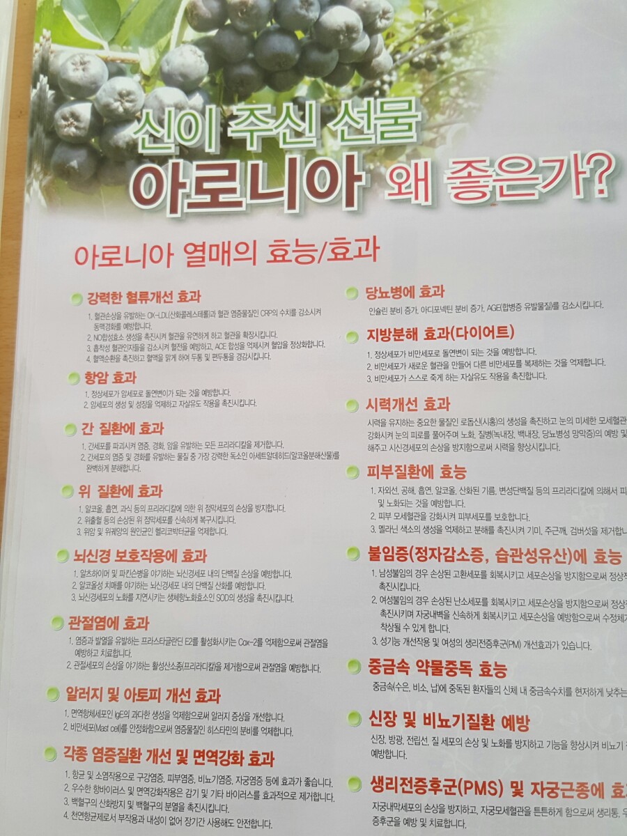 들뫼향 이미지