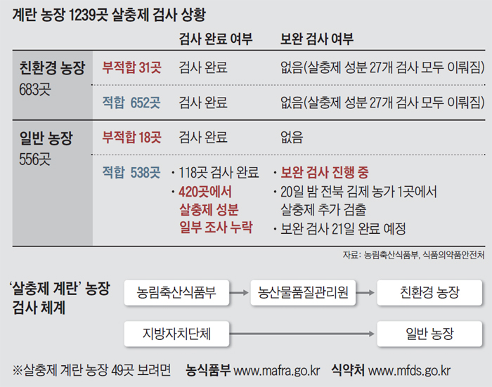 대한계란유통 이미지