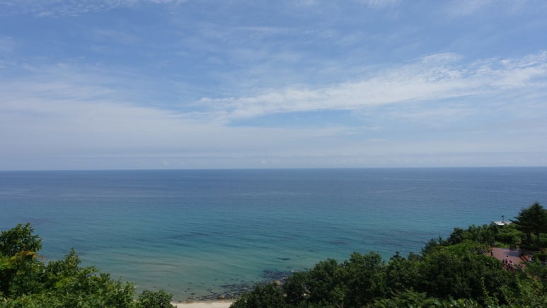 중앙연쇄점 이미지