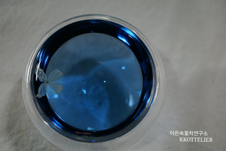 물파랑 이미지