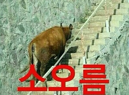 이젠아카데미컴퓨터학원 이미지