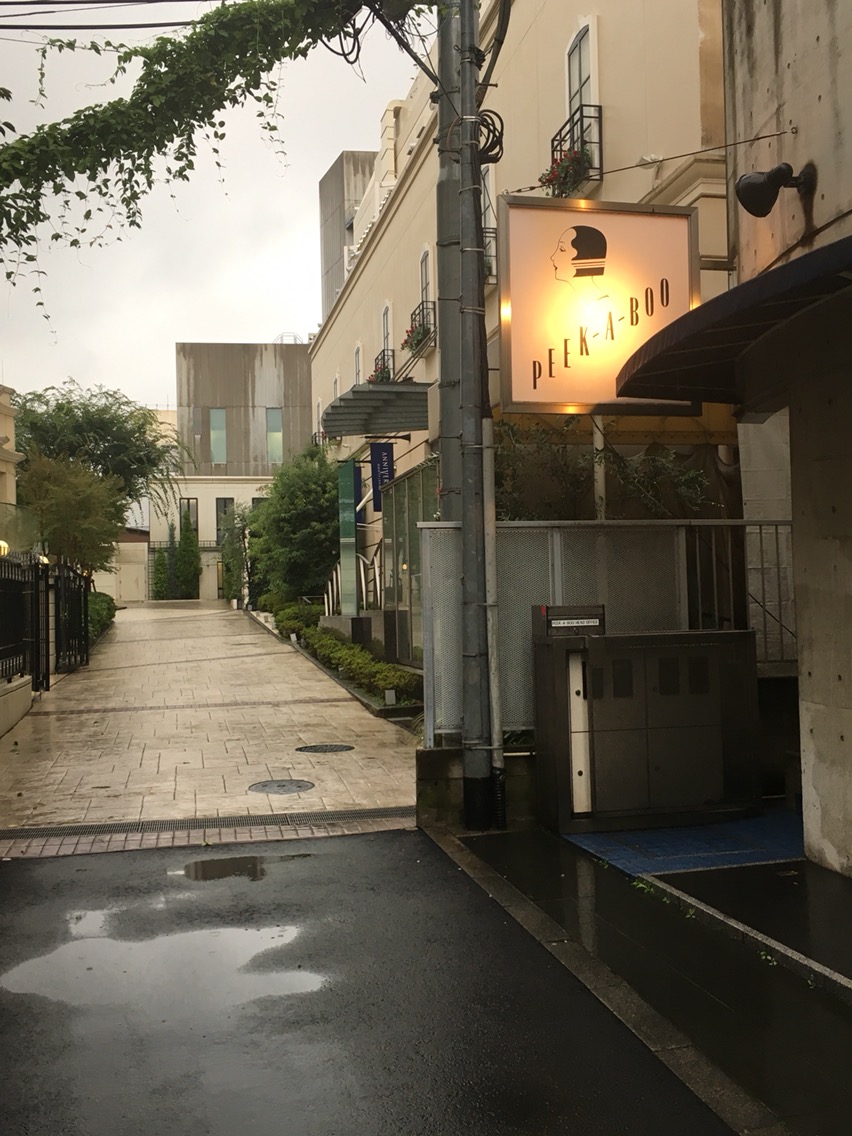 피카부아카데미 이미지