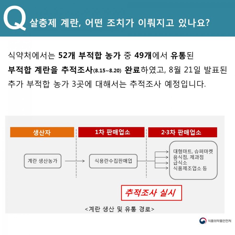 계란나라 이미지