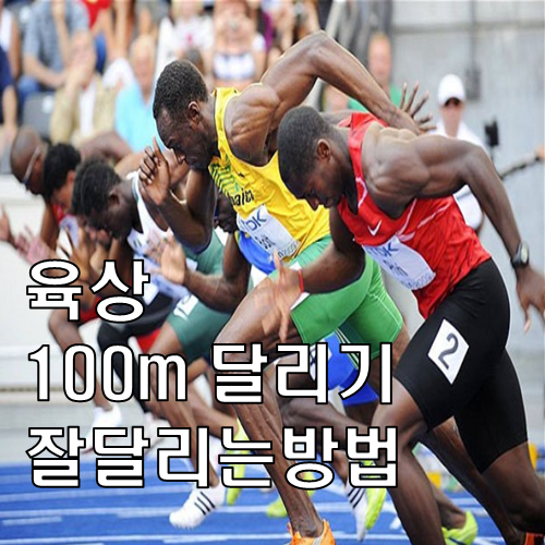 육상 단거리달리기 잘 달리는 방법 고찰.. : 네이버 블로그
